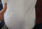 Faux Fur Warmth