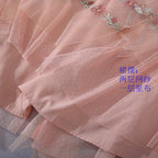 Mesh Dress