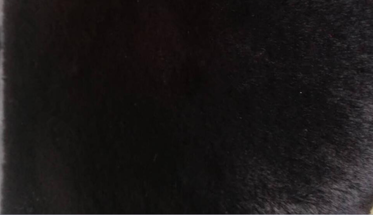Faux Fur Warmth