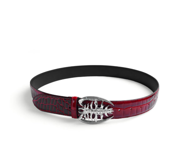 Belt IV